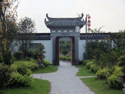 香根草一景觀(guān)設計應用